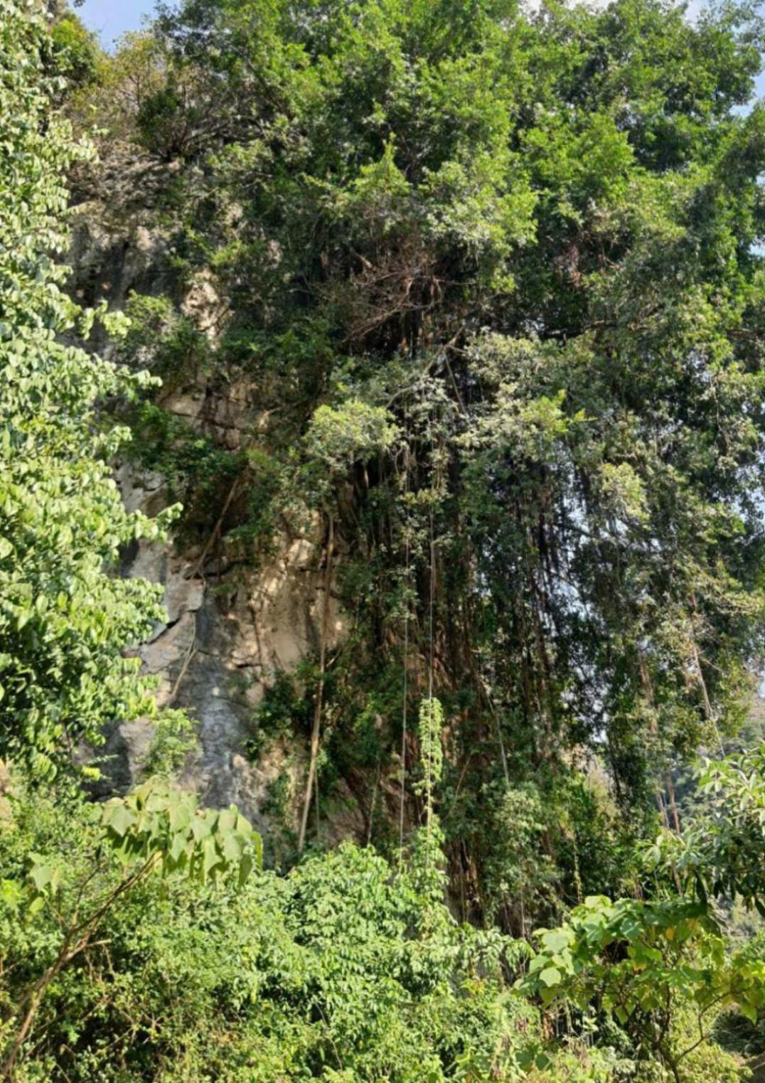 Trang An Hana Homestay Nguyen Ngoai Eksteriør billede